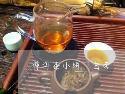 普洱茶小饼 自营/2023041088361